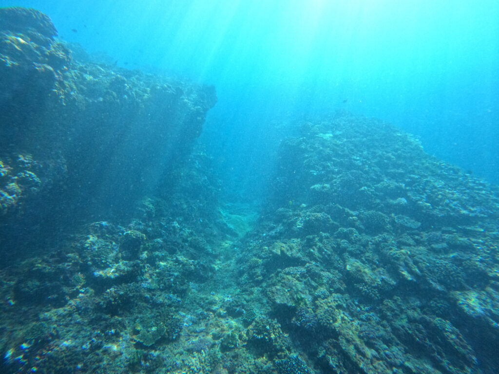 Récif Coralien de l'ile de la réunion